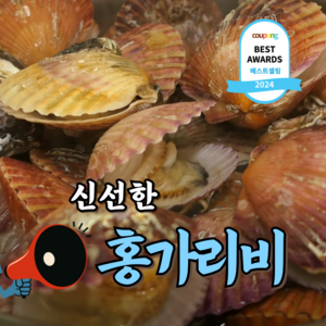 [큰사이즈] 통영 제철 홍가리비, 3개, 대사이즈 1kg (20미 내외)