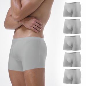 HNF 남성용 기능성 사각 무봉제 심리스 드로즈 팬티 5장 세트