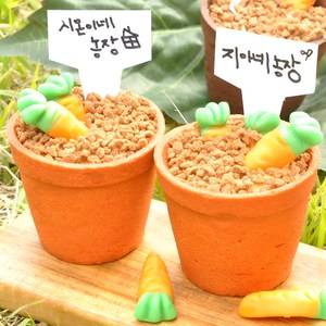 화분까지 먹는 당근젤리 미니 수제 컵 케이크 만들기 키트 DIY, 100g, 1개