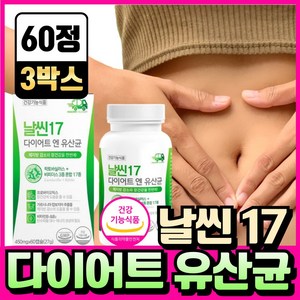 BNR17 비에날씬 유산균 다이어트 bnr17 식약청인증 캡슐 비엔알17 / 날씬17 다이어트 엔 유산균, 3개, 60정