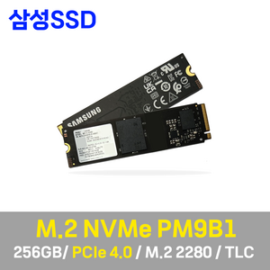 삼성전자 PM9B1 M.2 NVMe SSD 256GB 512GB (벌크), PM9B1 -256GB