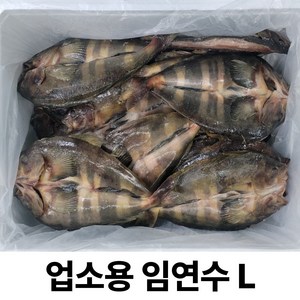 러시아 임연수 L 사이즈 (600~700g) / 손질 세척 염장 할복 / 이면수 도매 업소, 1박스, 임연수 L 10미