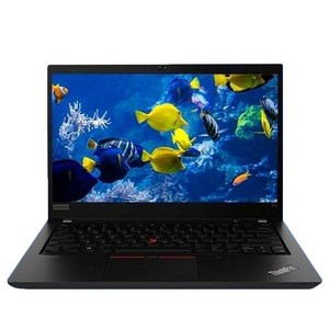 레노버 2022 씽크패드 T14 AMD G2 라이젠7 Po 라이젠 5000 시리즈, Black, 500GB, 16GB, WIN10 Po, 20XKS06G00