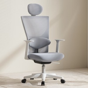 체어스코 에르고 바른 자세교정 컴퓨터의자 사무용 사무실 학생 공부 책상의자, 스톤그레이