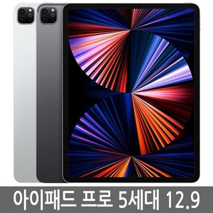 아이패드 프로 5세대 12.9 128GB 256GB 512GB 기가 WiFi/LTE 셀룰러 정품, Wi-Fi+Cellula