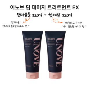 어노브 딥 데미지 트리트먼트 EX 헤어팩/헤어마스크, 320ml, 2개