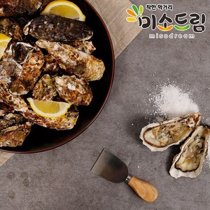 미소드림 통영생굴 김장굴 제철굴 석화/석굴 각굴 10kg, 1개