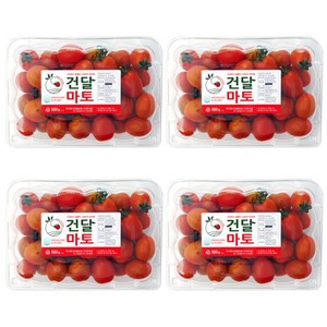 [정품] 프리미엄 고당도 스테비아 방울토마토, 1개, 500g