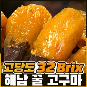 [해남직송] 달콤한 꿀 고구마 밤 호박, 중상 3kg, 1개