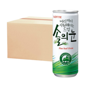 솔의눈 음료, 240ml, 60개