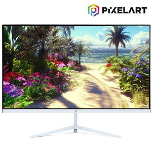 픽셀아트 PIXELART PA2430W 화이트 75Hz FHD 24형 모니터 무결점, PA2430W(무결점)