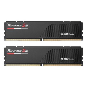 G.SKILL 64G DDR5-5600 CL30 RIPJAWS S5 블랙 (32Gx2), 2개