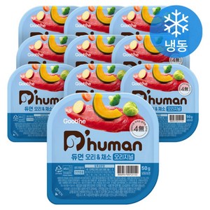 듀먼 전연령용 강아지 오리지널 냉동 화식사료, 오리, 50g, 10개