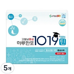 고철남홍삼 하루한포 1019틴 홍삼 스틱, 300ml, 5개