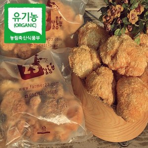 23살농부 [유기농] 노루궁뎅이버섯 건조, 100g, 1개
