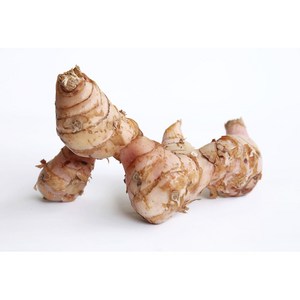 알라딘푸드 갈랑갈 태국 항공직송, 1kg, 1개