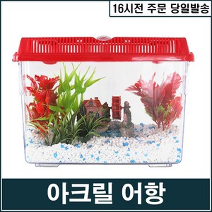 [대일] 사각 아크릴어항, 1개