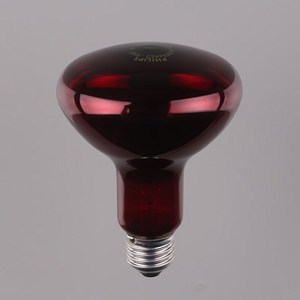 천지몰 필립스 적외선 IR램프 100W R95 E27, 1개