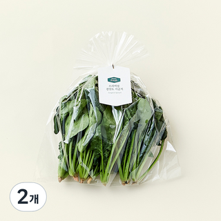 프리미엄 강원도 시금치, 200g, 2개
