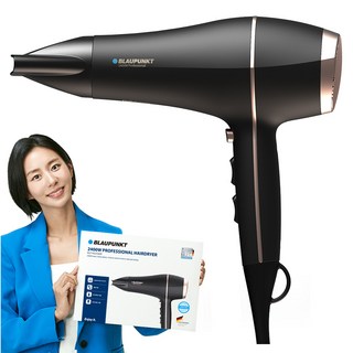 블라우풍트 드라이어