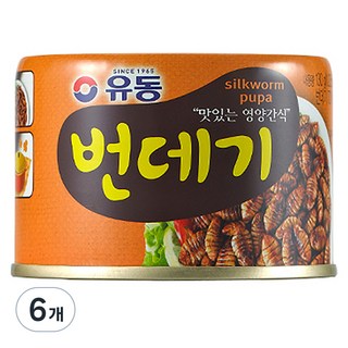 유동 번데기, 130g, 6개