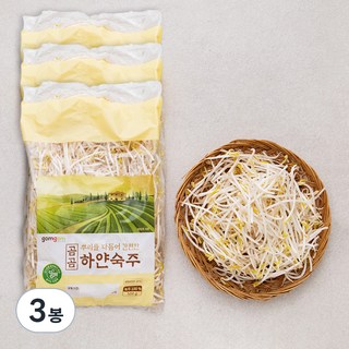 곰곰 뿌리를 다듬어 간편한 하얀숙주 500g, 3봉 숙주박스 곰곰 뿌리를 다듬어 간편한 하얀숙주 500g, 3봉 숙주박스