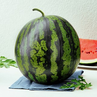 햇사레 다올찬 꿀수박, 9kg 이상, 1개