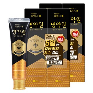 죽염 명약원 골든프로폴리스 잇몸 치약 플러스, 120g, 4개