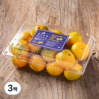 중문농협 황금빛 당도선별 11brix 감귤, 1.5kg(로열과), 3팩