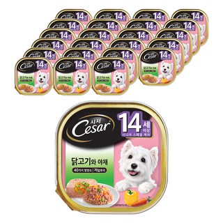 시저 14세 이상 시니어 강아지 주식캔, 닭+야채, 100g, 24개