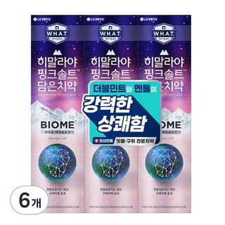히말라야핑크솔트 담은 바이옴 구취억제 치약, 100g, 6개