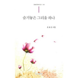 숨겨놓은 그리움 하나, 오늘의문학사, 조묘순 저