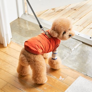 베니즈 반려동물 고고 하네스 패딩, 오렌지