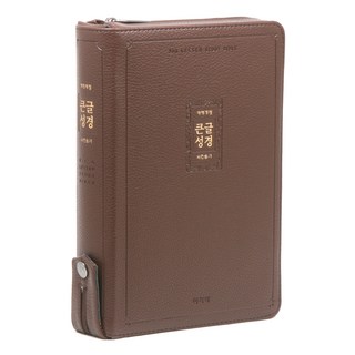 개역개정 큰글 성경 새찬송가 특대