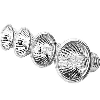 모비딕어항조명으로 문제 해결하기