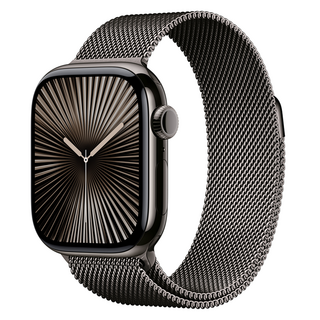 Apple 애플워치 10 GPS+Cellular, 42mm, 티타늄, 슬레이트 / 슬레이트 밀레니즈 루프, Loop