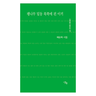 팽나무 밑동 북쪽에 핀 이끼:배순옥 시집, 시와사람, 배순옥