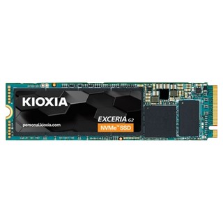 키오시아 G2 NVMe SSD, 2TB, LRC20Z