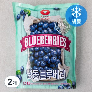 냉동 블루베리