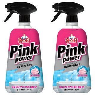홈스타 핑크파워 욕실 찌든때 클리너, 750ml, 2개