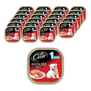 시저 1세 이하 강아지 주식캔, 소+달걀, 100g, 24개
