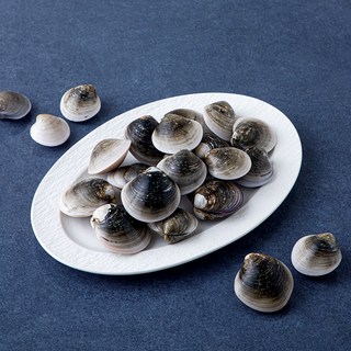 국산 모시조개, 500g, 1팩