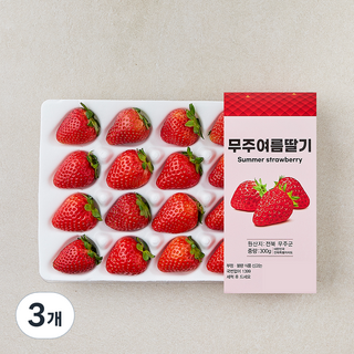무주 여름 딸기, 3개, 300g(24과내)