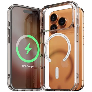 2. 신지모루 자력 ..