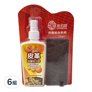 SE 向日葵 皮革深層除污劑 Set,含200ml清潔劑,適用於傢俱、皮革製品、汽車儀表板, 200ml, 6組