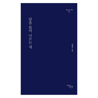 천년의 시작: 달을 물어 나르는 새 지혜의투영특전 천년의 시작: 달을 물어 나르는 새 지혜의투영특전