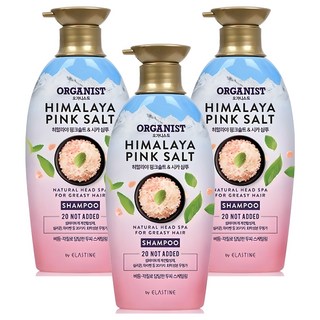 오가니스트 히말라야 핑크솔트 스케일링 두피샴푸, 500ml, 3개