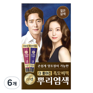 리엔 흑모비책 뿌리새치염색 크림 100g, 짙은갈색, 6개