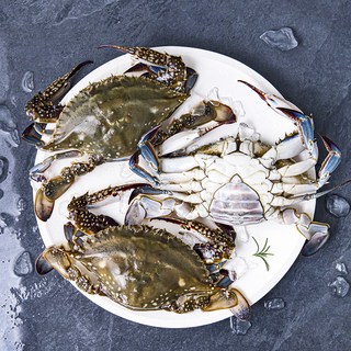 피시원 신진도 산지직송 알이 꽉찬 알배기 봄 암꽃게, 1kg(3~5미), 1박스