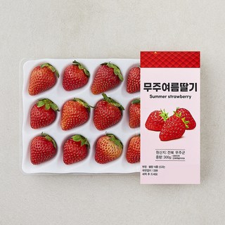 무주 여름 딸기, 1개, 300g(15과내)